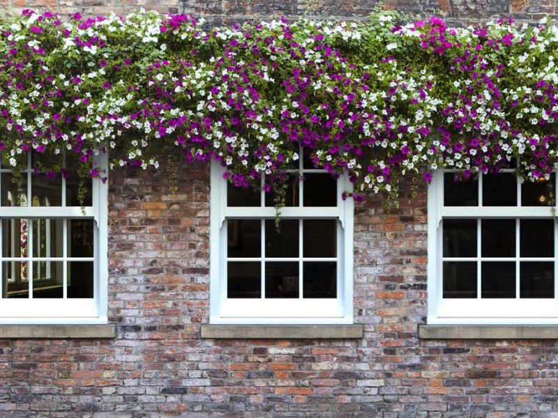 Belfast Sliding Sash Windows Quote