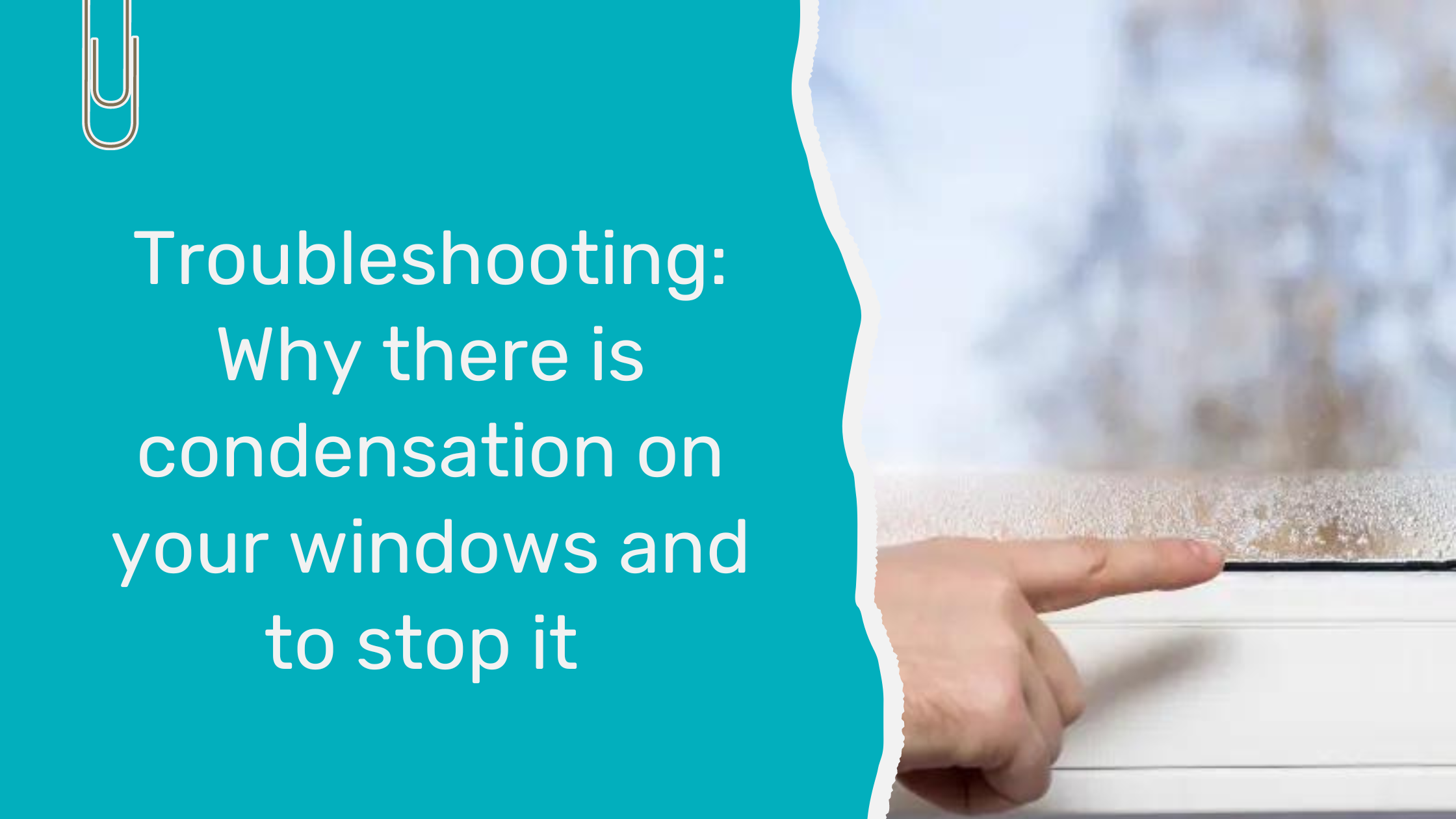 Why there is Condensation on your Windows and How to stop it: Expert Advice